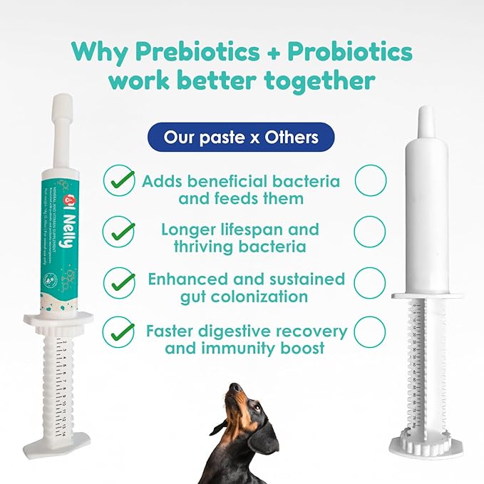 Prebiotic & Probiotic Dog Probiotic Paste, 6 Strains of Bacteria,18 Bi CFU's + Vitamins, Minerals- Upgraded Formula for Fast Balance GI, Dogs Probiotic Paste (14 g)