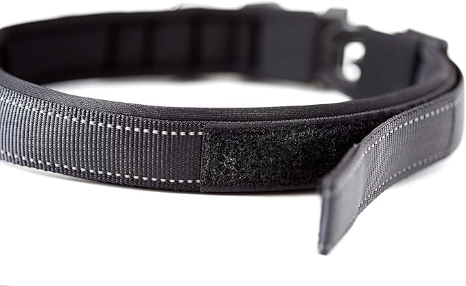 Mighty Paw Dog Collar - Neoprene Padded - Reflective for Running - Extra Comfort for Active Dogs - Padded and Comfortable Collar for All Breeds - Heavy Duty