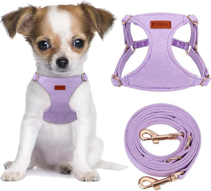 CHEDE No Pull Puppy Harness and Multifunction Dog Leash Set- 8 Colors Soft Adjustable No Choke Escape Proof Cute,Lightweight Pet Vest Harness for Small and Medium Dog (XXS, Purple)
