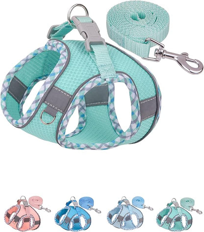 Petank Dog Harness for Small Medium Dogs No Pull, Puppy Harness and Leash Set, Step in Dog Harness for Walking, Running, Training, Small Dog Vest(Green, XXS)