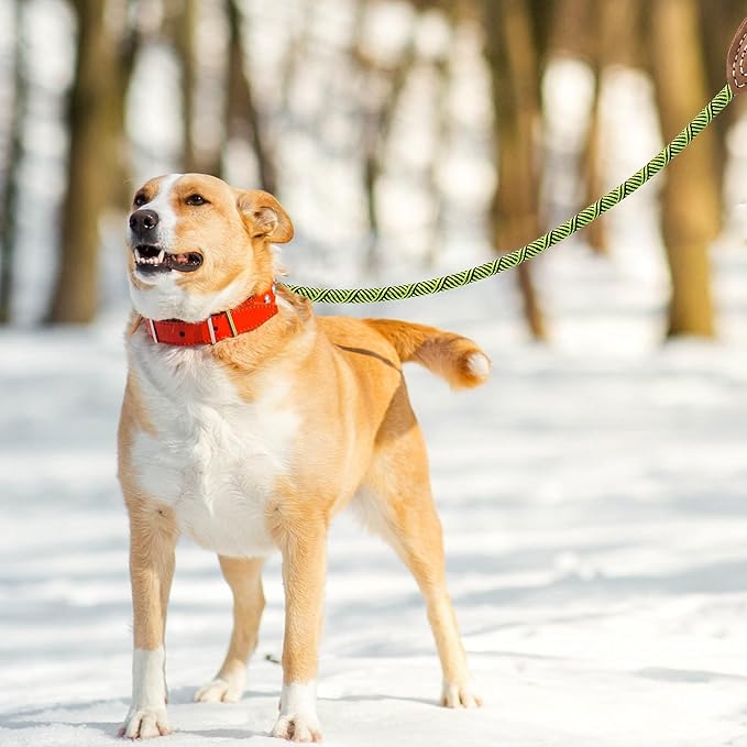 Mile High Life | Mountain Climbing Dog Rope Leash with Heavy Duty Metal Sturdy Clasp | Genuine Leather Tailored Connection with Strong Stitches (Lime Green, 72 Inch (Pack of 1))