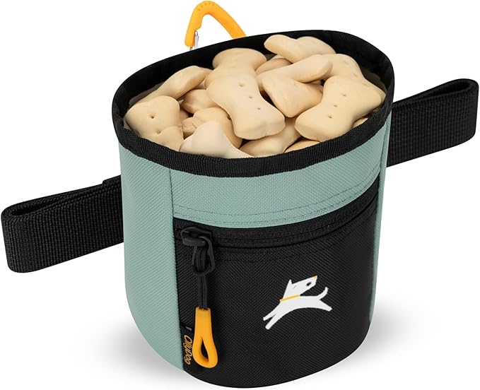 OllyDog Goodie Treat Bag, Dog Treat Pouch, Waist Belt Clip for Hands-Free Training, Magnetic Closure, Dog Training and Behavior Aids, Three Ways to Wear (Surf)