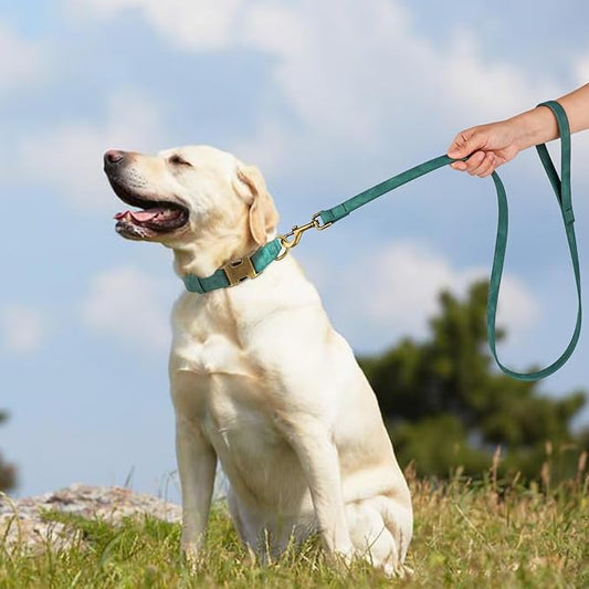 Didog PU Leather Dog Leash, Colorful Dog Leash 4ft, Strong and Durable Faux Leather Lead, Walking and Training Lead for Small Medium Dogs,Green