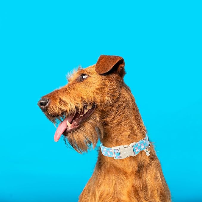 Lionet Paws Easter Dog Collar- Cute Bunny Blue Dog Collars with Plastic Buckle, Light Adjustable Dogs Collars with Rabbit Pendant for Medium Large Dogs