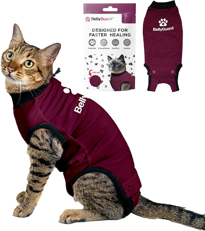 Bellyguard Cat Recovery Suit for Female and Male, Cat Surgery Suit Alternative, Onesie for After Spay Care, Post-Surgery Protective Body Cover for Feline and Kitten Healing