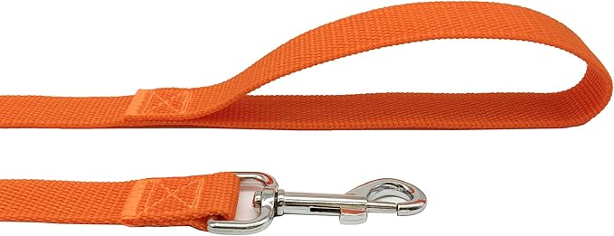TAIAN 5 FT Strong Dog Leash, Nylon Dog Leashes for Small Medium Large Dogs Orange