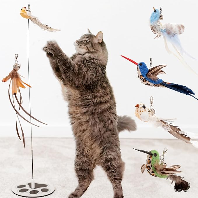 GADGETSOLOGY Interactive Bird Simulation Cat Toy Set Interactive Cat Toys for Indoor Cats Cat Feather Toy 5 Replacement Birds Realistic Feathers & Bells