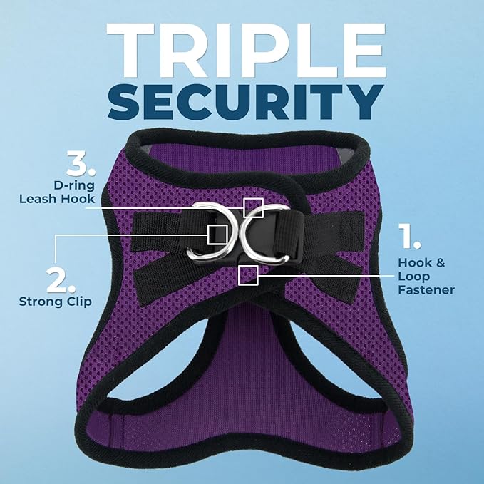 Best Pet Supplies Voyager Step-in Air Harness - All Weather Mesh, Reflective, No Pull Harness for Dogs, Cats - Secure with Hook & Loop Fastener, Buckle, Double D-Rings - Purple/Black Trim, M