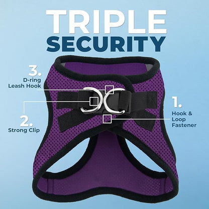 Best Pet Supplies Voyager Step-in Air Harness - All Weather Mesh, Reflective, No Pull Harness for Dogs, Cats - Secure with Hook & Loop Fastener, Buckle, Double D-Rings - Purple/Black Trim, XXS