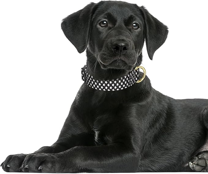 Rnivvi Dog Collar for Large Dogs, Cute Heavy Duty Adjustable Puppy Collar with Quick Release Buckle for Boy Girl & Female, Pet Accessories for Walking Running, L Length 1" Width, Black Star