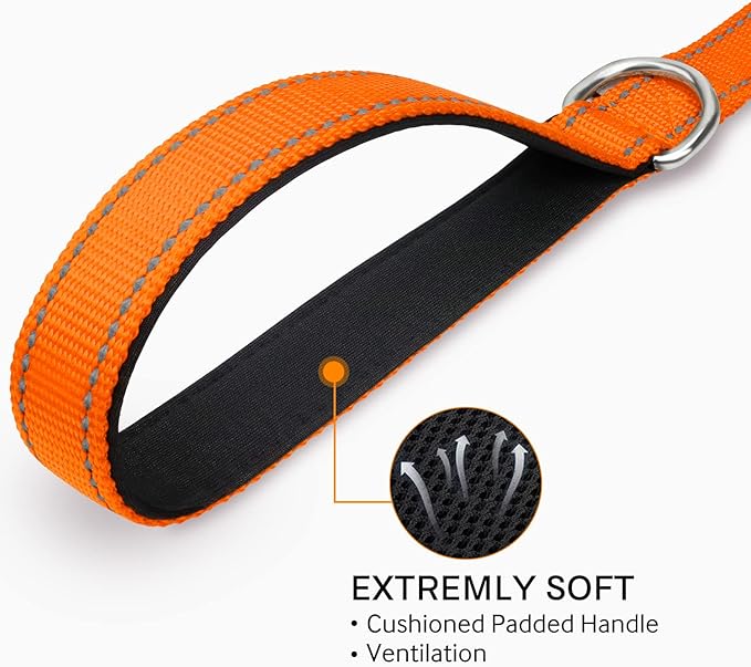 Joytale Dog Leash, 6 FT Double-Sided Reflective, Padded Handle Nylon Heavy Duty Leashes for Small & Medium Dogs Walking, Orange