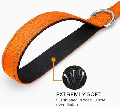 Joytale Double-Sided Reflective Dog Leash, 4 FT, Padded Handle Nylon Heavy Duty Leashes for Small & Medium Dogs Walking, Orange