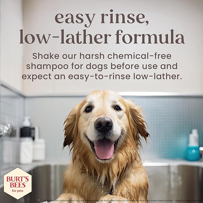 Burt’s Bees Manuka Honey Oatmeal Shampoo for Dogs with Coconut Oil, 16 Fl Oz