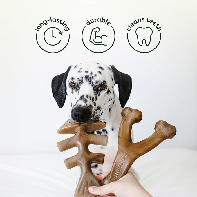 Benebone 4-Pack Ball/Bone/Bacon Wishbone/Fishbone Medium