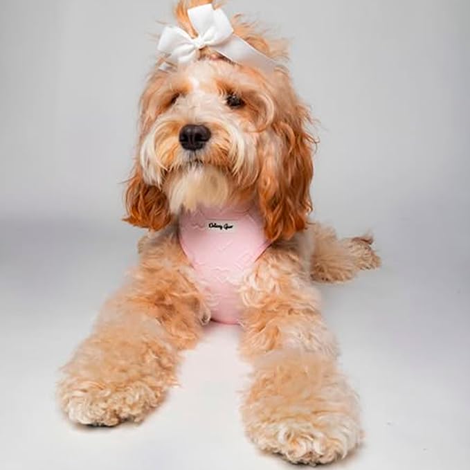 Medium Dog Harness Set – Cute No Pull, All Weather, Breathable Harness and Leash Set with Collar, Bandana, Sailor Bow & Poop Bag Holder – Adjustable, Soft & Stylish – Pink Hearts on Jacquard Fabric