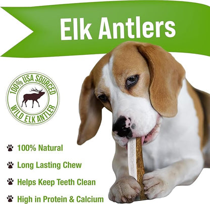 Buck Bone Organics Elk Antler Split Dog Chew (Medium)