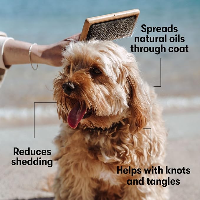 DOG by Dr Lisa - Slicker Brush - Short Bristle Brush for Dogs - For Most Dog Coats - Made from Sustainable Bamboo - Vet-Created - Small