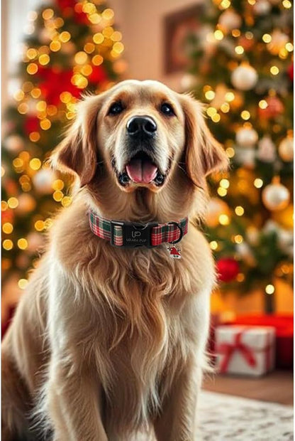 Christmas Dog Collar– Adjustable Red & Green Checkered Dog Collar for Small Medium Large Dogs, Soft Xmas Plaid Puppy Collars with Quick Release Buckle XL