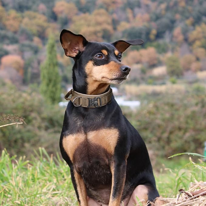 EXCELLENT ELITE SPANKER Tactical Dog Collar Nylon Adjustable Training Collar Military Dog Collar Heavy Duty Metal Buckle with Control Handle for Medium and Large Dogs with Patches(Black-L)