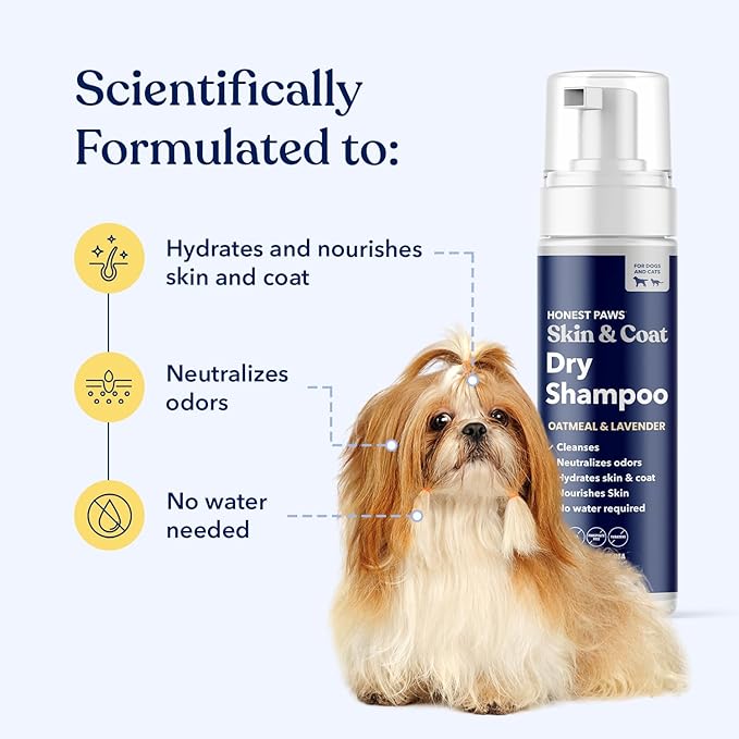Honest Paws Dog Dry Shampoo - Waterless No Rinse Foaming Formula Reducing Itch Cleanse Hydrate Nourish Dry Skin and Smelly Coat Help Decrease Odor Shedding and Allergies - Oatmeal & Lavender - 6.3 oz