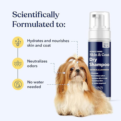Honest Paws Dog Dry Shampoo - Waterless No Rinse Foaming Formula Reducing Itch Cleanse Hydrate Nourish Dry Skin and Smelly Coat Help Decrease Odor Shedding and Allergies - Oatmeal & Lavender - 6.3 oz