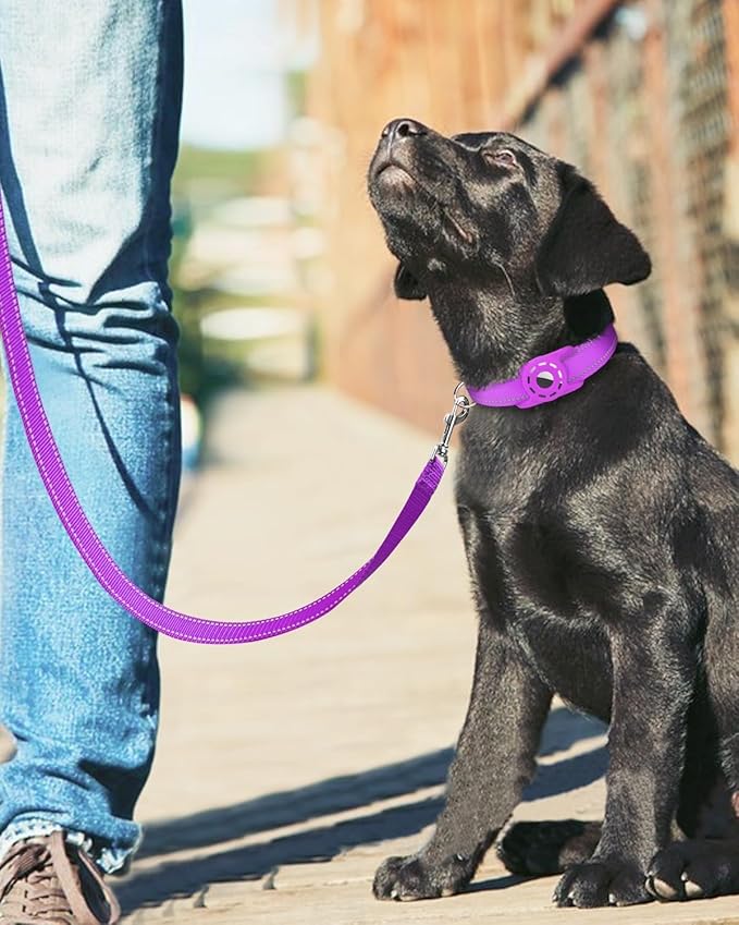4FT Reflective Nylon Dog Leash with Soft Padded Handle for Walking, Running and Training, Supports Small Medium and Large Dogs (Purple, 1 Inch Wide)