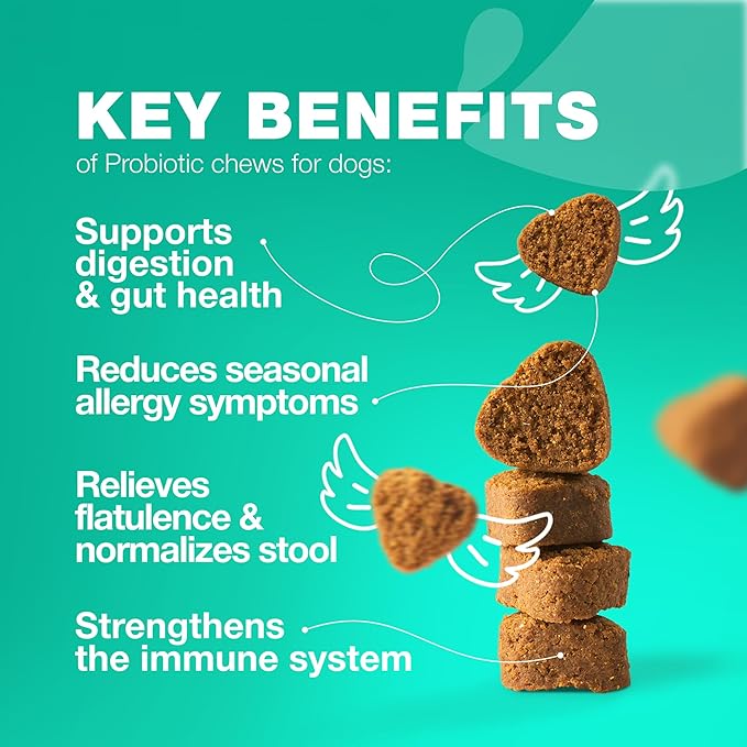 Probiotics for Dogs Gut Health, Digestion, Immunity, Yeast Balance, Itchy Skin, Allergies Support - Dog Probiotic Chews with Digestive Enzymes for Gut Flora- Soft Treats with Pumpkin and Yeast Powder