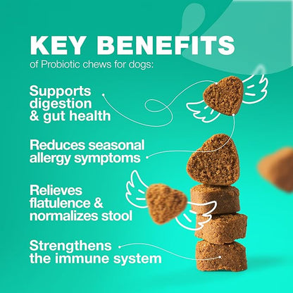 Probiotics for Dogs Gut Health, Digestion, Immunity, Yeast Balance, Itchy Skin, Allergies Support - Dog Probiotic Chews with Digestive Enzymes for Gut Flora- Soft Treats with Pumpkin and Yeast Powder