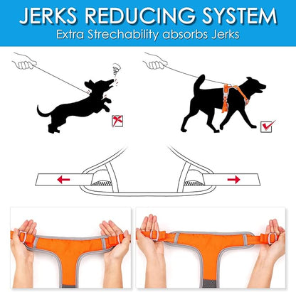 ThinkPet No Pull Harness Set Breathable Sport Harness with Handle - Reflective Padded Dog Safety Vest with Reflective Neon Dog Leash L Harness Leash Pack Orange