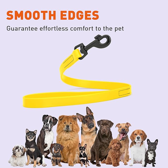 Dogline Biothane Waterproof Dog Leash Strong Coated Nylon Webbing with Black Hardware Odor-Proof Easy to Clean High Performance for Small or Large Dogs Made in USA 2 ft Lead, Lemon Yellow