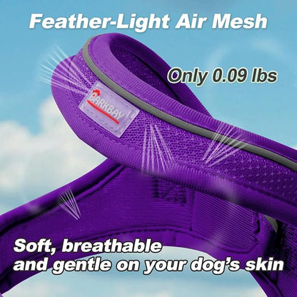 Dog Harness and Leash Set,Step in Small Sized Dog Harness,Soft Mesh,No-Chock,Reflective Adjustable,Secure with Hook & Loop Fastener,Puppy Vest for Small,Medium Dogs(Purple,XS)