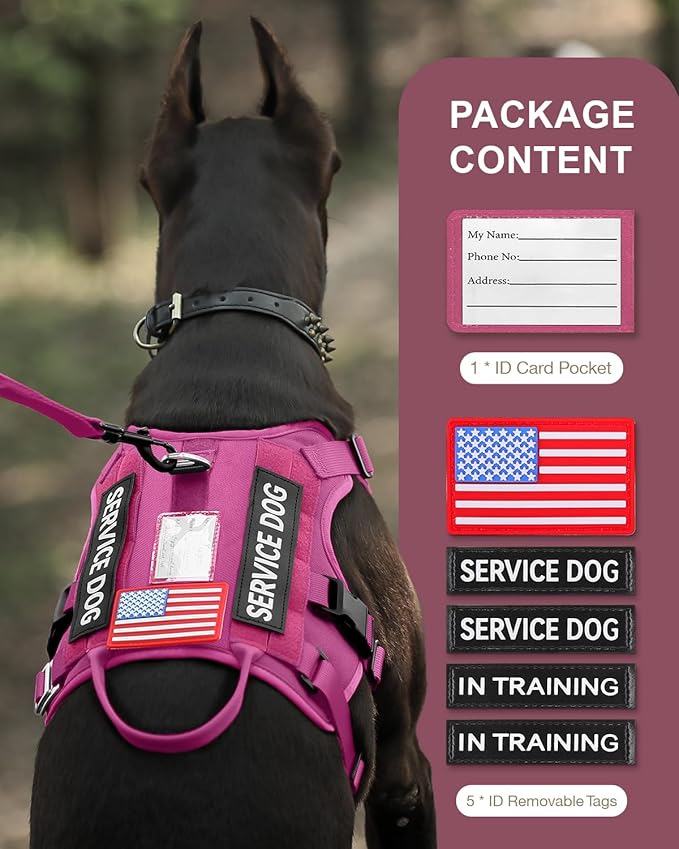 FAYOGOO Tactical Dog Harness for Large Dogs - Dog Harness Escape Proof with Handle - No Pull Military Service Dog Vest with Removable Patches for Walking,Training (Fuchsia, M(Chest:22-27"))