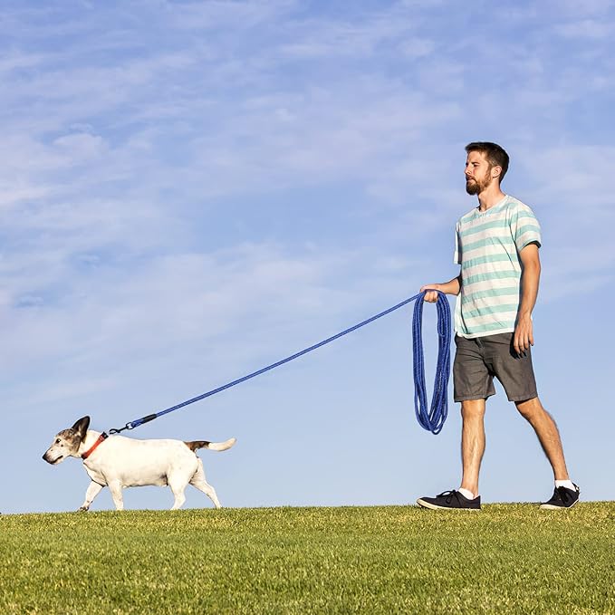 Long Dog Leash for Training 20Ft-Reflective Nylon Rope with Swivel Hook-Recall Agility Lead for Large Small Medium Dogs Outside Walking Hiking-Royal Blue Diam 1/2"