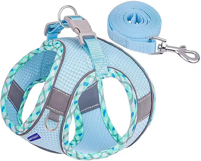 Step in Mesh Dog Harness and Leash Set - Breathable Air Mesh Reflective Escape Proof Vest, No Choke, Lightweight, Blue