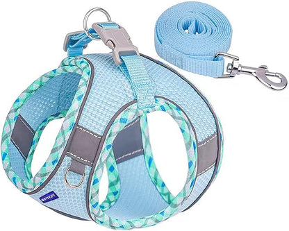 Step In Mesh Dog Harness and Leash Set Breathable Air Mesh Reflective Escape Proof Dog Harness Vest No Choke Lightweight Mesh Dog harness