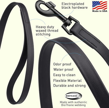 Dogline Biothane Waterproof Dog Leash Strong Coated Nylon Webbing with Black Hardware Odor-Proof Easy to Clean High Performance for Small or Large Dogs Made in USA 4 or 6 ft Lead, Black