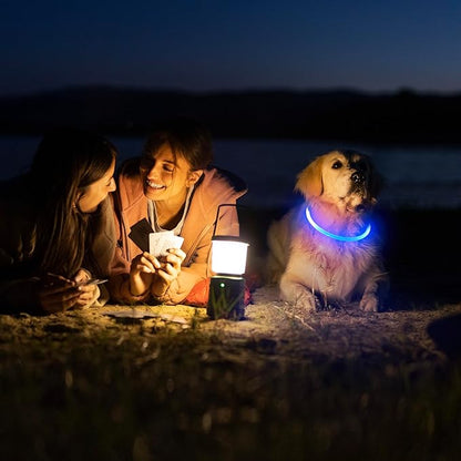 HIGO LED Dog Collar, USB Rechargeable Light Up Dog Collars Glow in The Dark, TPU Cuttable Pet Safety Dog Necklace for Nighttime Dog Walking (Blue)
