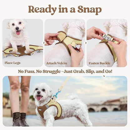 rabbitgoo Dog Harness Small Sized and Leash Set, Step in Soft Light Puppy Vest, Breathable Mesh Pet Harness, Reflective for Safe Easy Walking, Brown & Beige XS