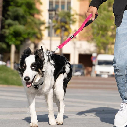 PUPTECK Reflective Short Dog Leashes - 3 Packs 2.5ft/ 1.5ft/ 1ft Nylon Leash with Strong Clip, Soft Padded Handle, Durable Training Leash for Large Small Medium Dogs Walking Outside, Fuchsia