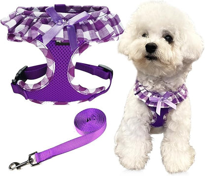 SuperBuddy Upgraded Soft Mesh Dog Harness, Super Breathable Lightweight Pet Harnesses for Puppy Dogs Outdoor Walking, Purple Dog Harness and Dog Leash Set Packing -Large
