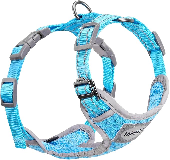 ThinkPet Reflective Breathable Soft Air Mesh No Pull Puppy Choke Free Over Head Vest Harness for Puppy Small Medium Dogs and Cats(Light Blue, XS)