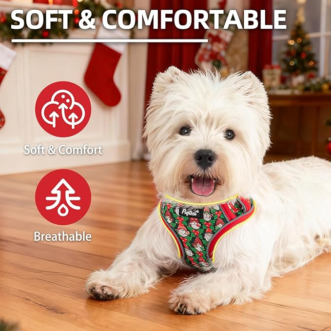 PUPTECK Christmas Dog Harness Collar and Leash Set with Gift Box, No Pull Soft Light Pet Harness, Reflective Adjustable Puppy Vest, for Small Sized Dogs Cats Walks, Red&Green S