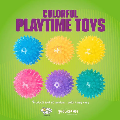 Gnawsome Squeak and Light Football,Multicolor,2.5",10010, 1 Count