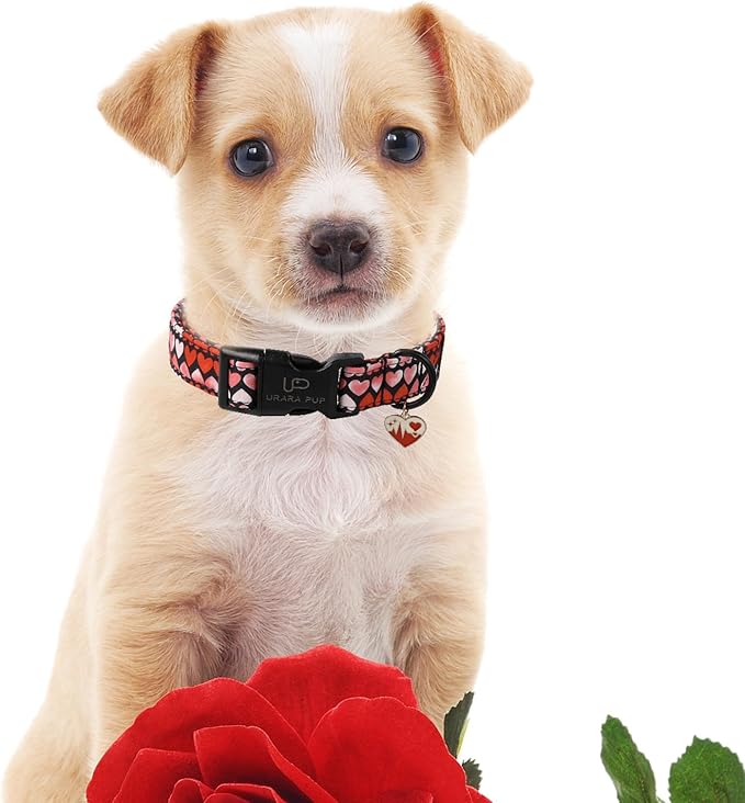 Pink Heart Dog Collar, Medium, Cotton, Valentine's Gift, Small & Medium Dogs