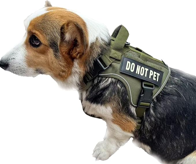 Tactical Dog Harness for Small and Medium Breeds, Air Dog Vest No Pull with Reflective Do Not Pet Patches, Breathable Dog Molle Vests for Training Walking Hunting Green