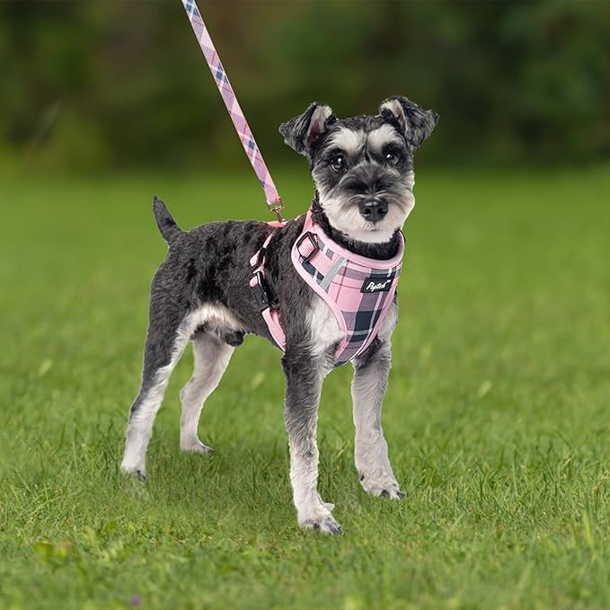 PUPTECK Small Dog Harness and Leash Set, No Pull Adjustable Puppy Cat Harness, Reflective Soft Mesh Pet Vest Small Sized, Pink Plaid, XS