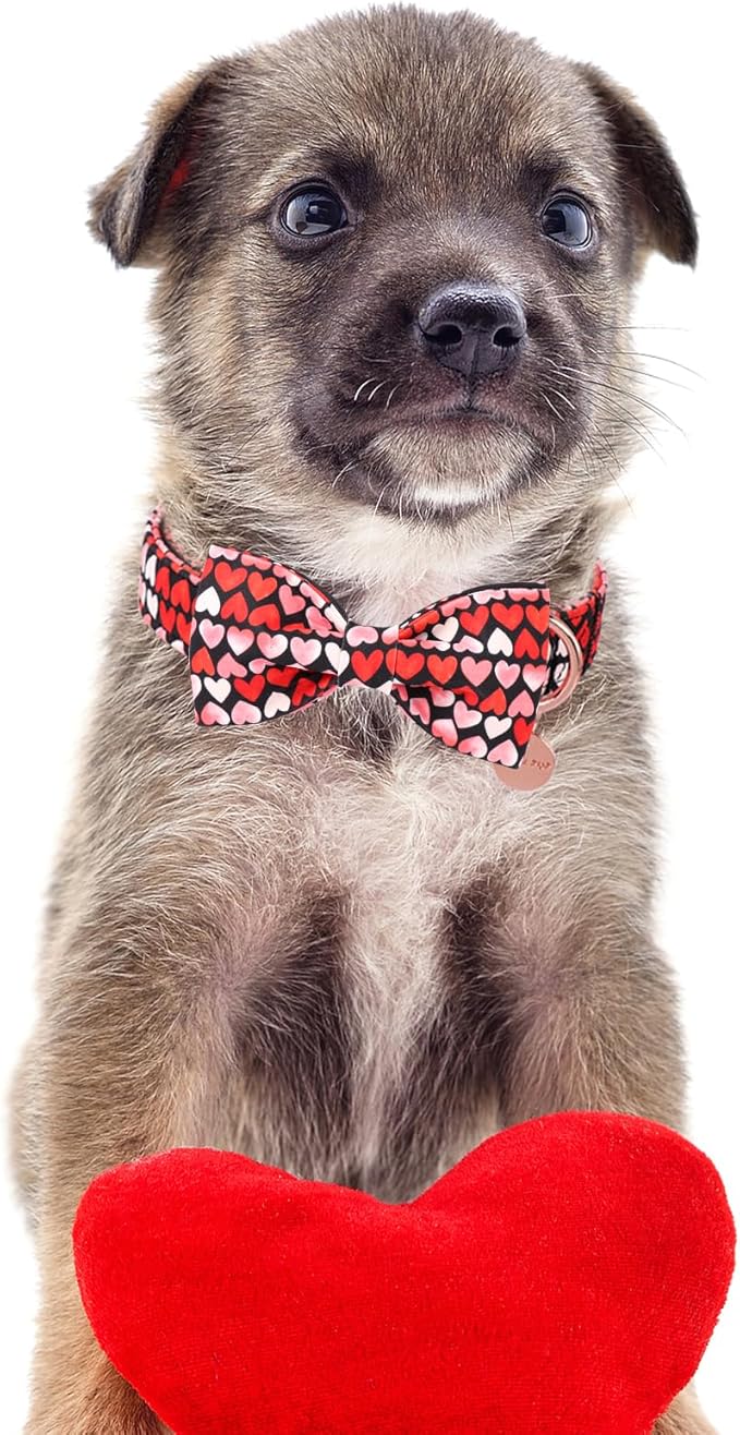 Valentine’s Day Dog Collar with Bow Tie, Red Heart Bowtie Collar with Metal Buckle, Valentine’s Day Gift Adjustable Pet Collar for Puppy Girl Boy Dog or Cat, S, Neck 10-16in