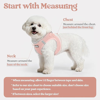 rabbitgoo Dog Harness Small Sized and Leash Set, Step in Soft Light Puppy Vest, Breathable Mesh Pet Harness, Reflective for Safe Outdoor Walking, Pink M