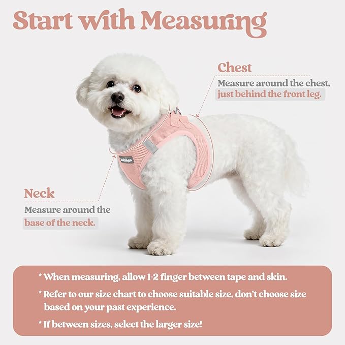 rabbitgoo Dog Harness Small Sized and Leash Set, Step in Soft Light Puppy Vest, Breathable Mesh Pet Harness, Reflective for Safe Outdoor Walking, Pink XS