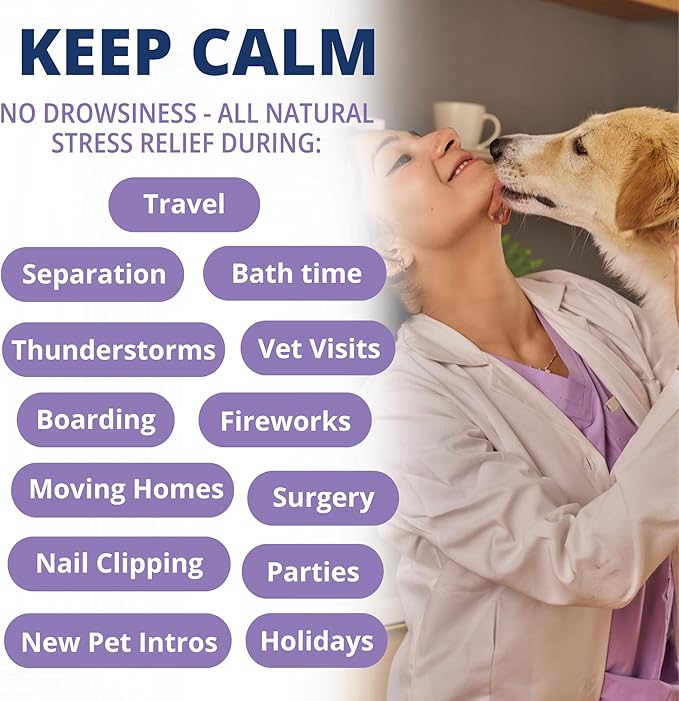 Under the Weather Calming Chews for Dogs | Vet Formulated Dog Calming Chew Treats | Natural Stress Support | Helps with Anxiety, Stress & Thunderstorms | Chicken Flavor Dog Calming Aid | 60 Count